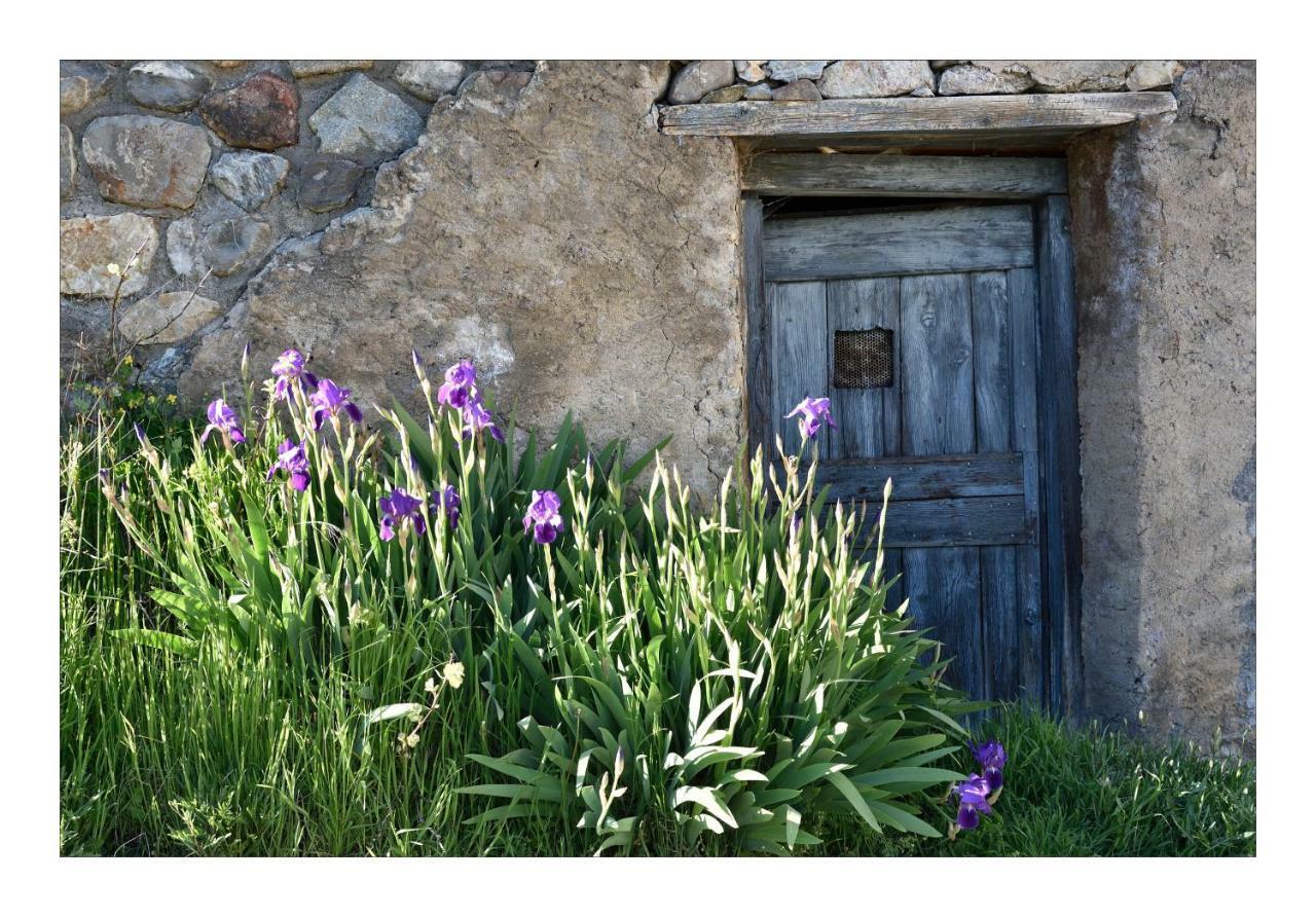 La Maison Abeil LʼArgentière-la-Bessée Exteriör bild